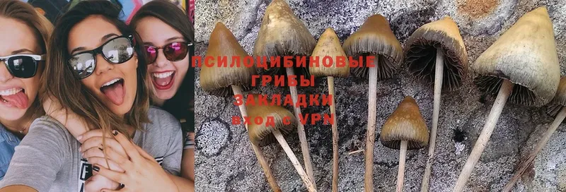 Галлюциногенные грибы Magic Shrooms  ОМГ ОМГ маркетплейс  Городец 